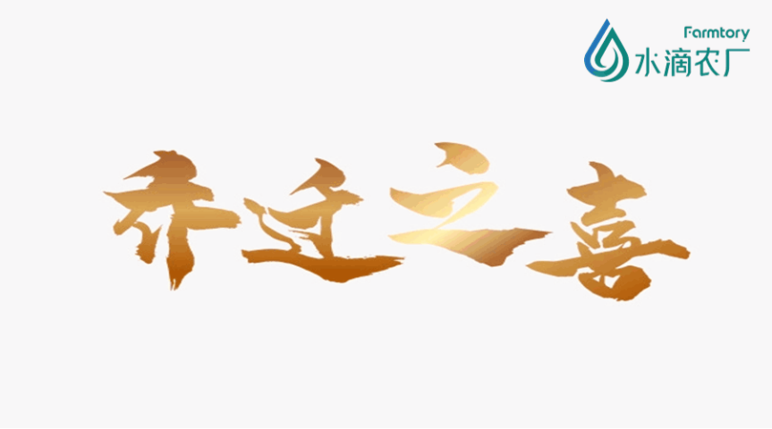 Cover Image for 乔迁新址,共谱新章!